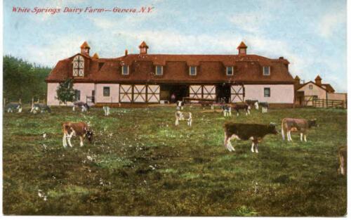 Geneva-Dairy-Fram