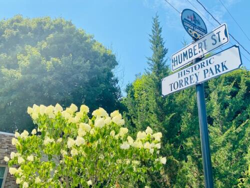 Torrey-Park-Little-Italy