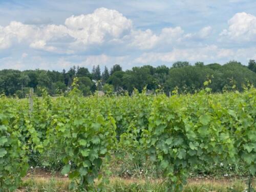 Torrey-Ridge-Winery-Exterior