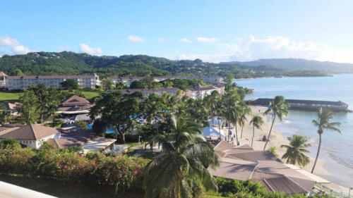 View from Lynn's Room