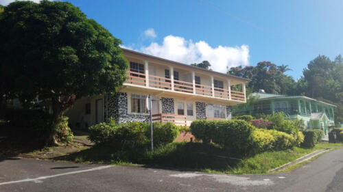 Two Story Lepord Home