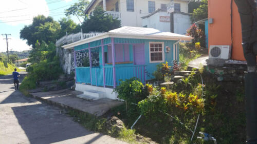 Purple and Blue House