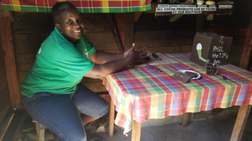 Lady at Table