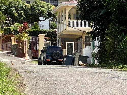 Street, Jeep, Ducks