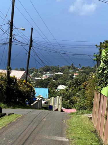 View of Neighborhood