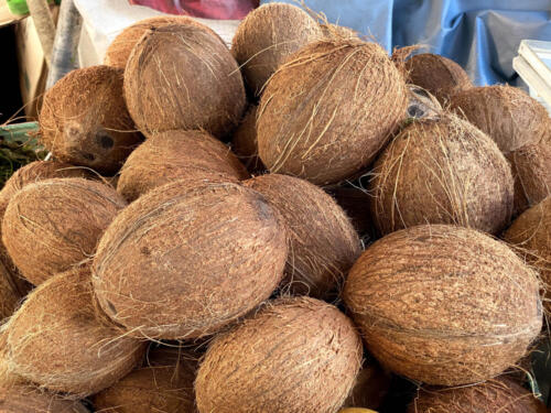 Coconuts