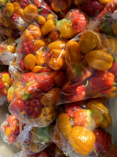 Red + Orange Peppers