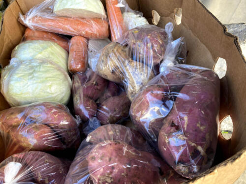Cabbage + Potatoes