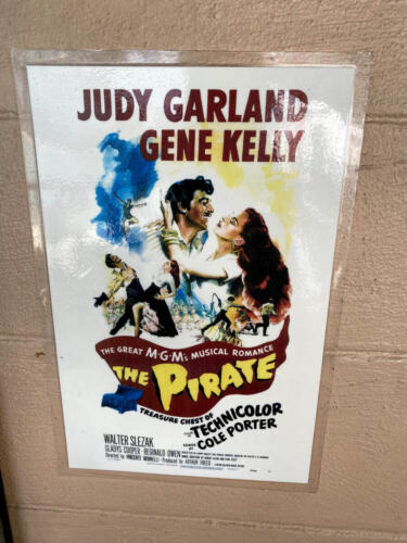 Man + Woman in Pirate Picture